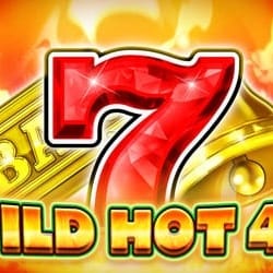 WILD HOT 40 icon